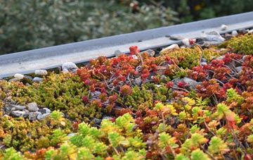 the cost of Redbridge green roof installation