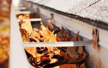 Redbridge gutter cleaning companies