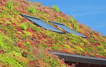 Redbridge living roof systems