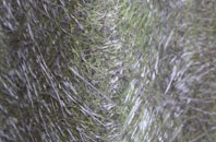 Redbridge fibreglass roof work